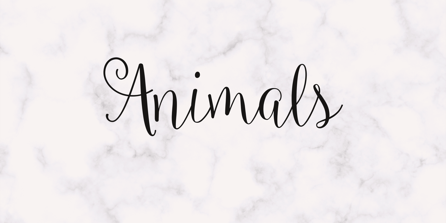 Animals